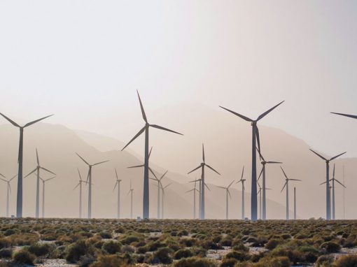 Good news on the wind!