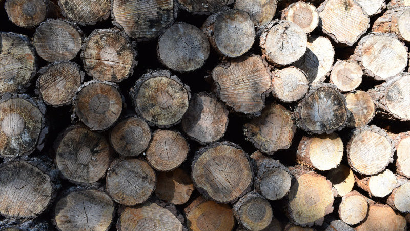 logs-1