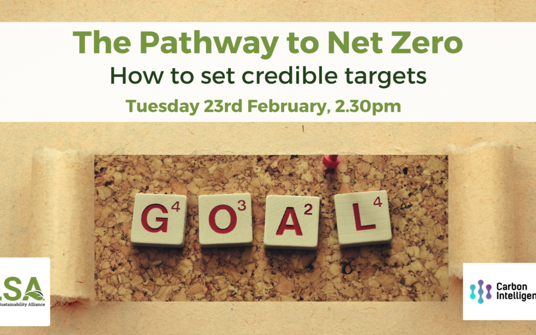 The Pathway to Net Zero – How to Set Credible Targets