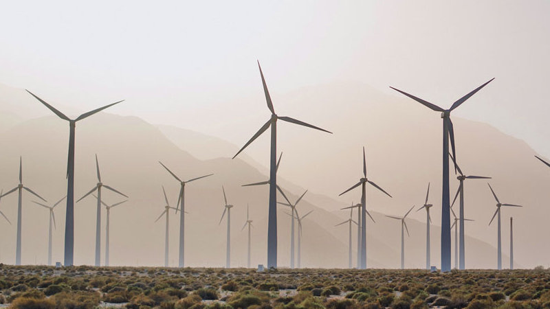 environmental-nonprofit-
