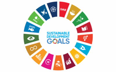 Engaging Your Firm and Clients with Your Responsible Business Agenda with the SDGs