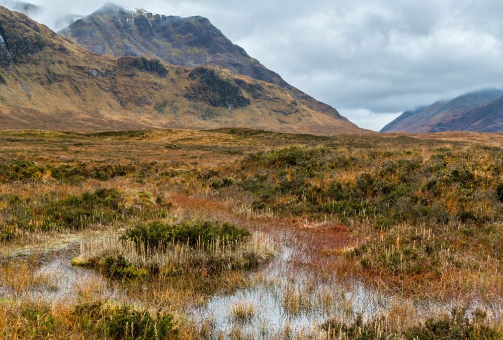Law Society of Scotland’s Annual Conference 2025