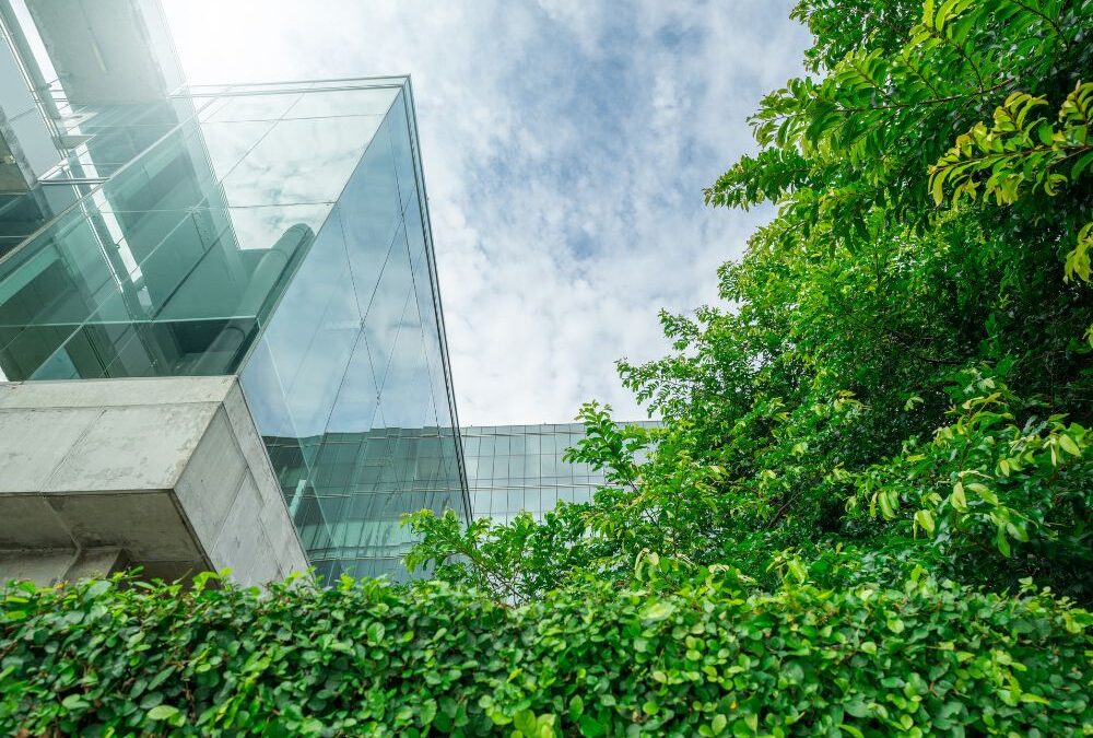 A Sustainable Future: A guide to calculating your carbon footprint