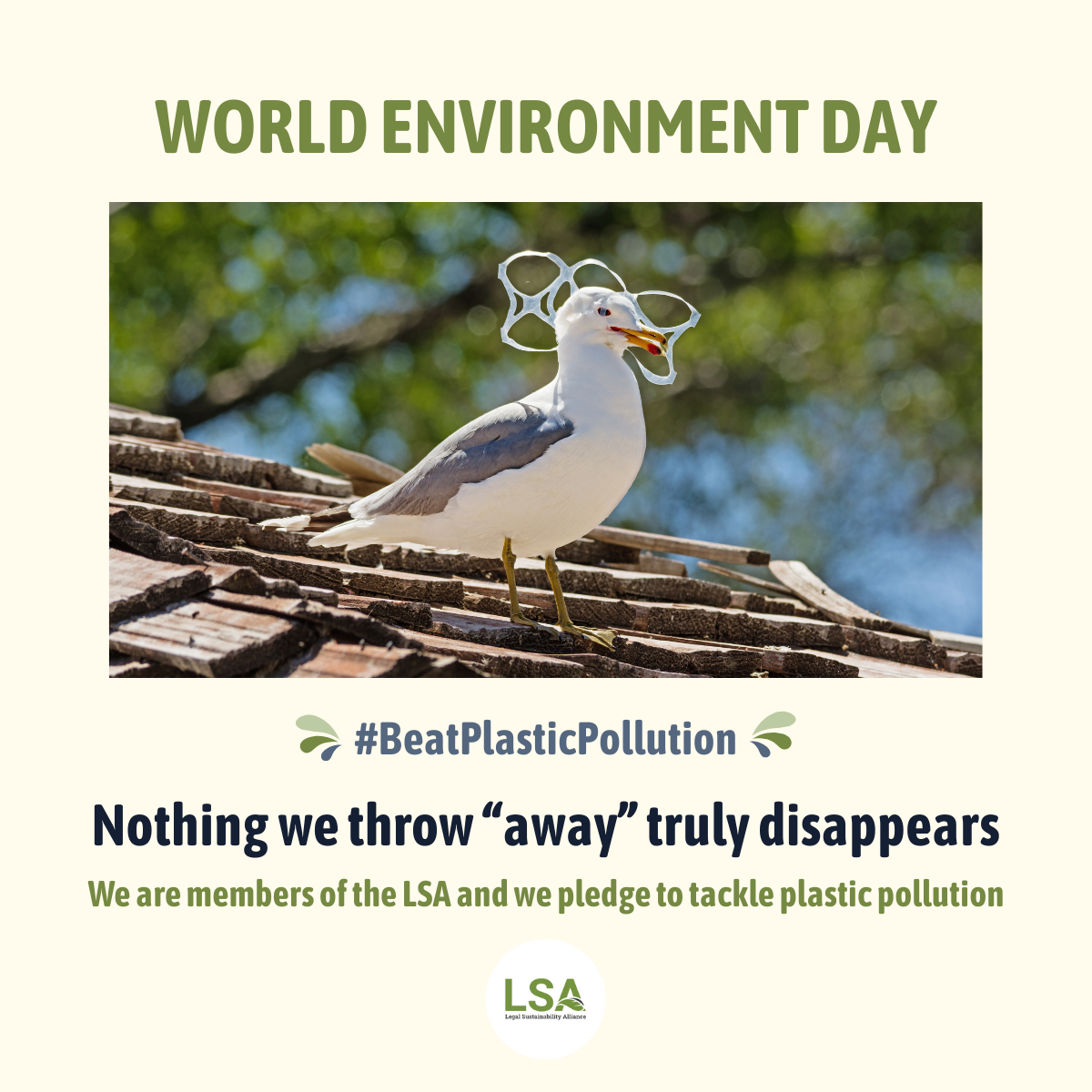World Environment Day Pledge 2025