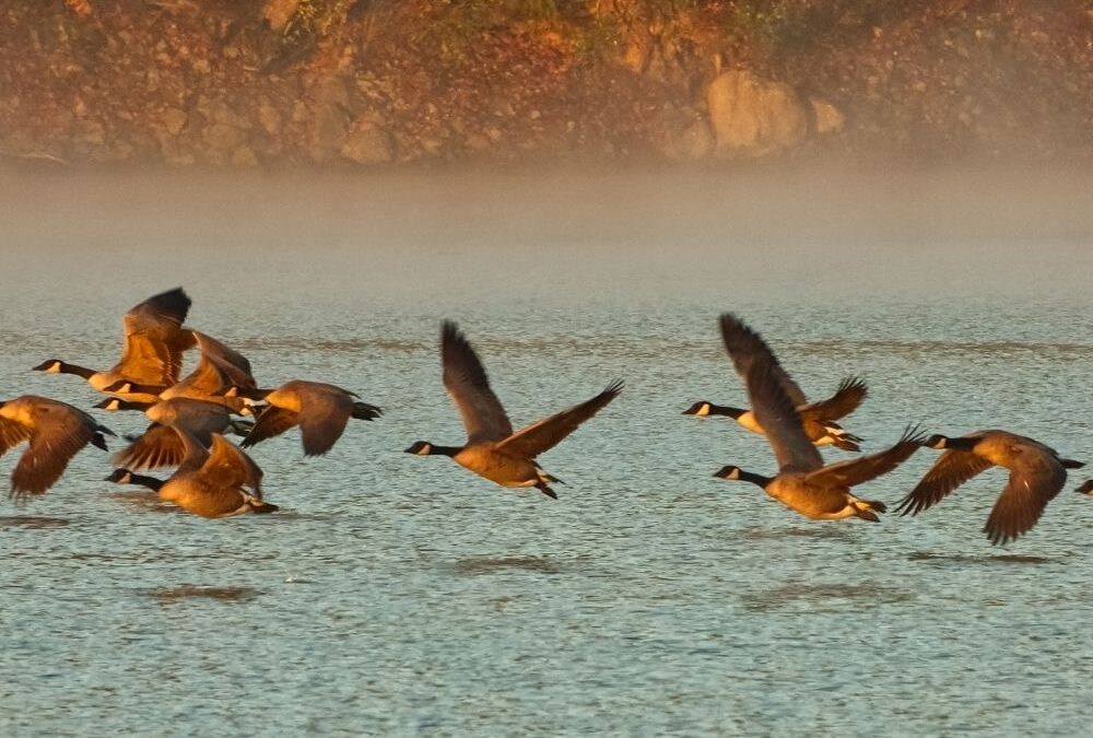 Your Carbon Impact: Measure It to Manage It