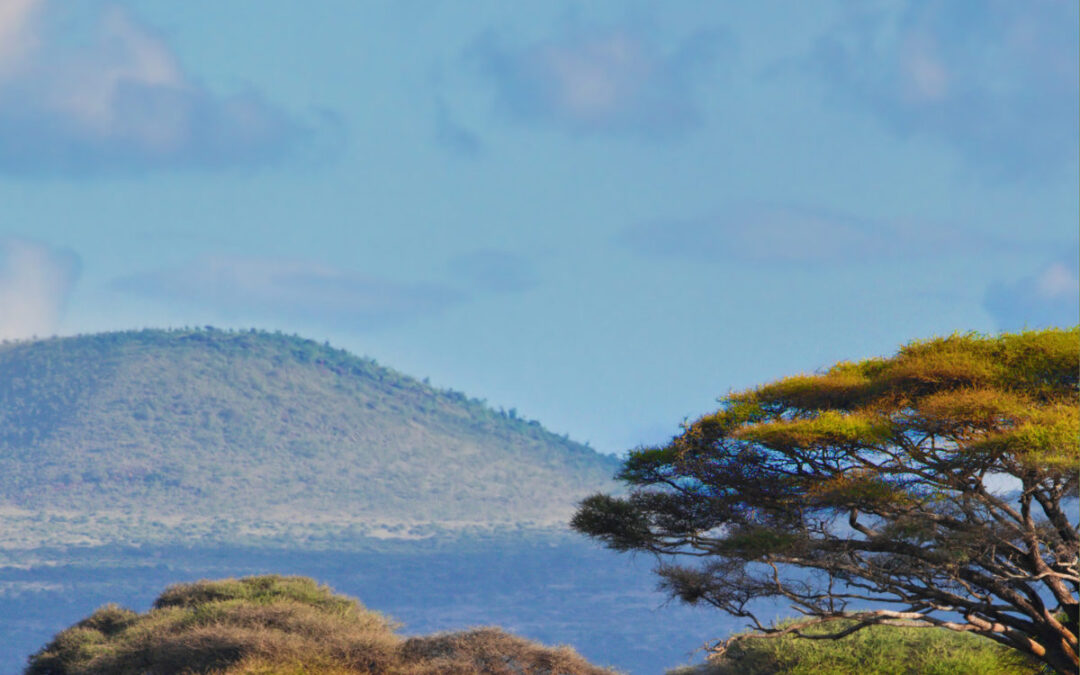 Episode 10 – The Socially Imaginative Lawyer