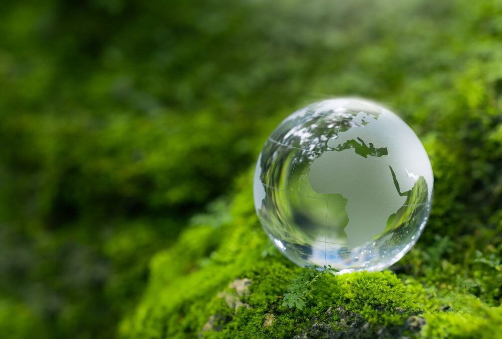 The Future of Flying – Can Aviation Ever Be Sustainable?