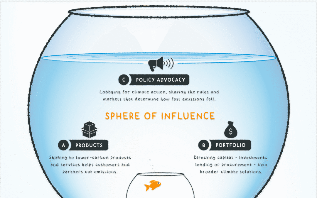 The big picture – Climate Trunk