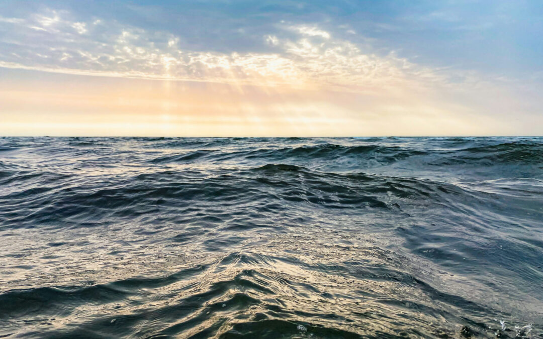 Who Speaks for the Sea?